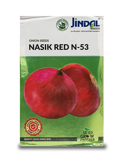 JINDAL NASIK RED ONION SEEDS (N-53) product  Image 1