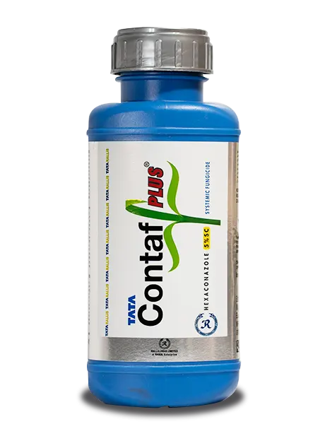 CONTAF PLUS FUNGICIDE product  Image