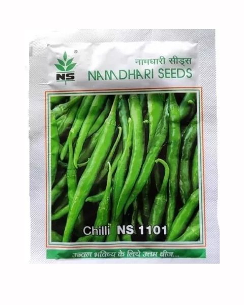 NS 1101 CHILLI SEEDS product  Image 1