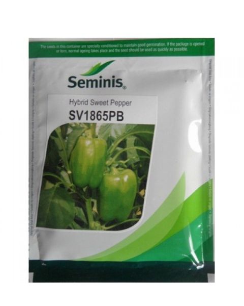 SEMINIS SV1865PB HYBRID GREEN CAPSICUM PEPPER | SEEDS product  Image 1