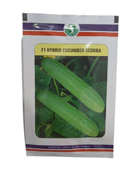 SUNGRO SEDONA CUCUMBER product  Image 1