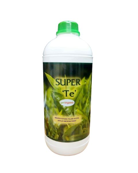 GASSIN PIERRE SUPER-TE product  Image 1