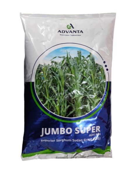 JUMBO SUPER SEEDS product  Image 1