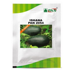 PAN 2054 ISHANA WATERMELON (DARK GREEN, CAPSULE) product  Image 1