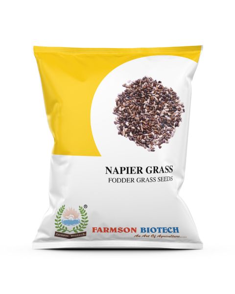 FARMSON NAPIER GRASS SEEDS product  Image 1