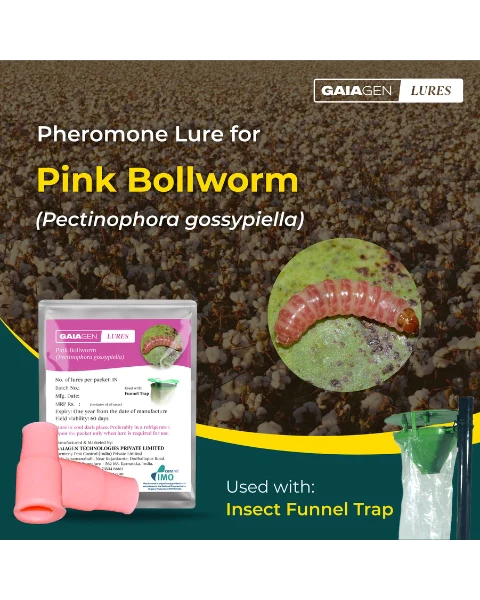 Pink Boll Worm Lures at Rs 10.8  Pheromone Lure in Hyderabad