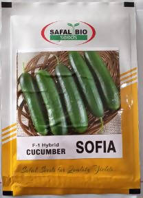 SAFAL BIO CUCUMBER SOFIA F1 SEEDS product  Image 2