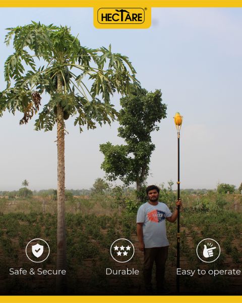 HECTARE PAPAYA PICKER | IMPLEMENTS product  Image