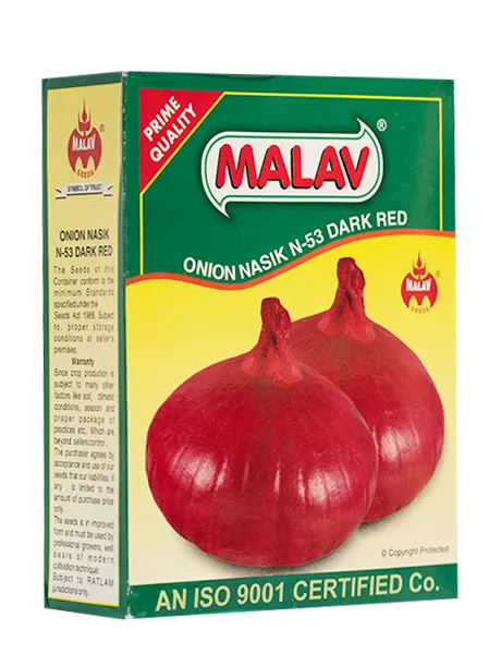 MALAV NASIK RED ONION SEEDS N-53 product  Image 2