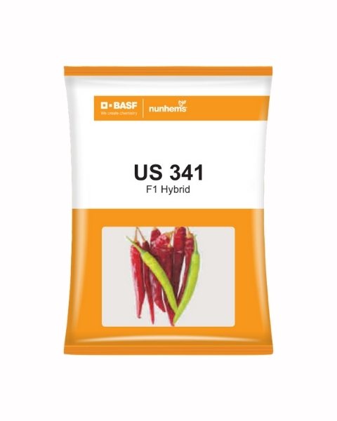 US 341 CHILLI SEEDS product  Image 1