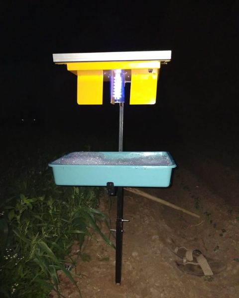 Hectare Solar insect trap 