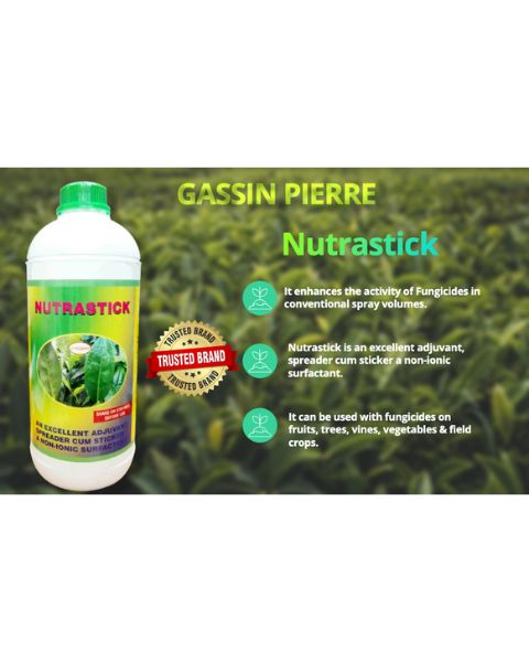 GASSIN PIERRE NUTRASTICK product  Image 3