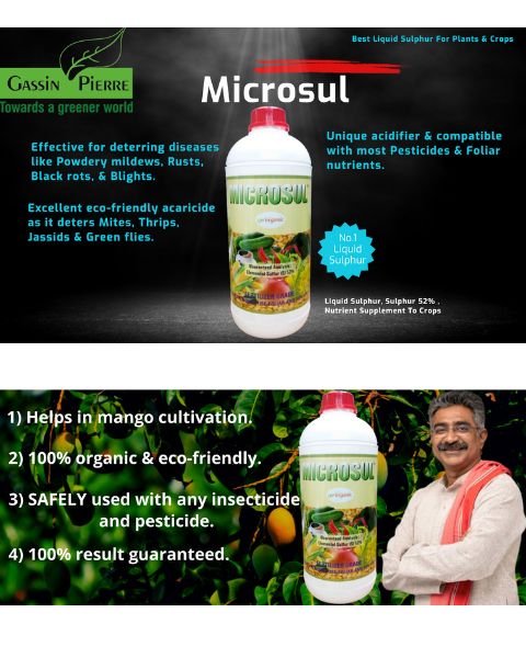 GASSIN PIERRE MICROSUL product  Image