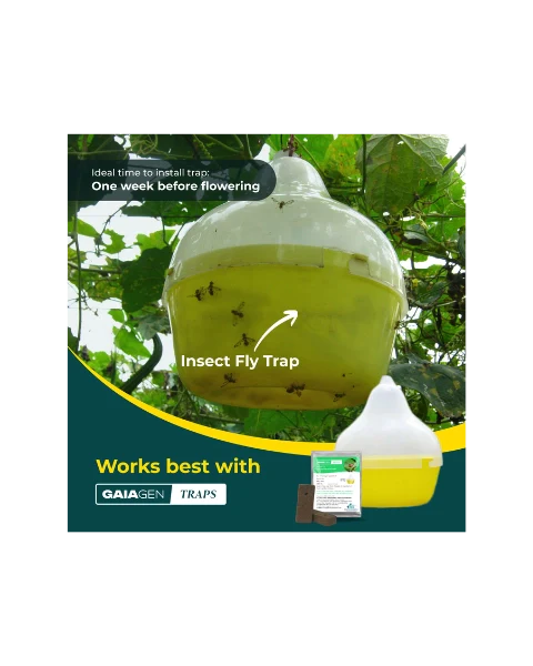 GAIAGEN PHEROMONE LURE FOR MELON FLY (Bactocera cucurbitae) product  Image 9