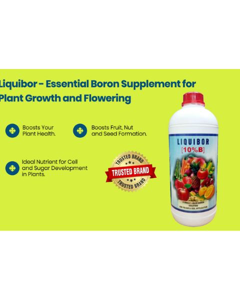 GASSIN PIERRE LIQUIBOR product  Image 3