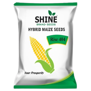 SHINE HYBRID MAIZE SEEDS RISE-404 SEEDS product  Image