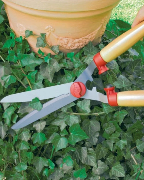 WOLF GARTEN HEDGE SHEAR (HS-TL) SPECIAL product  Image