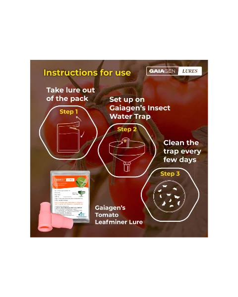 GAIAGEN PHEROMONE LURE FOR TOMATO LEAFMINER (Tuta absoluta) product  Image 6