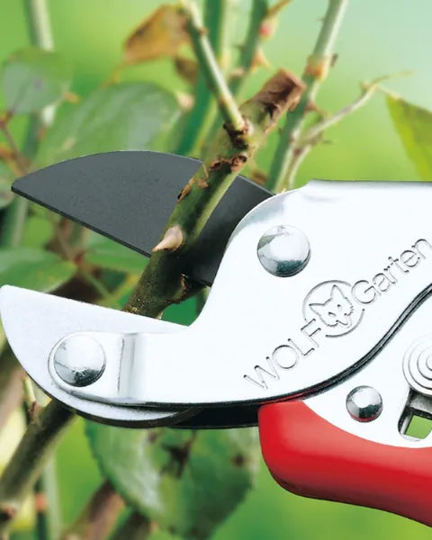 WOLF GARTEN ANVIL SECATEURS (RS-EN) 19MM CUT product  Image 4