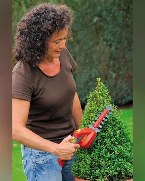 WOLF GARTEN MINI HEDGE TRIMMER LITHIUM BATTERY (FINESSE 30 B) (15 CM) product  Image