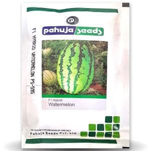 595 WATERMELON. product  Image