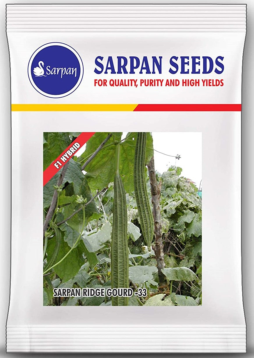 SARPAN F1 HYBRID RIDGE GOURD-33 product  Image 2