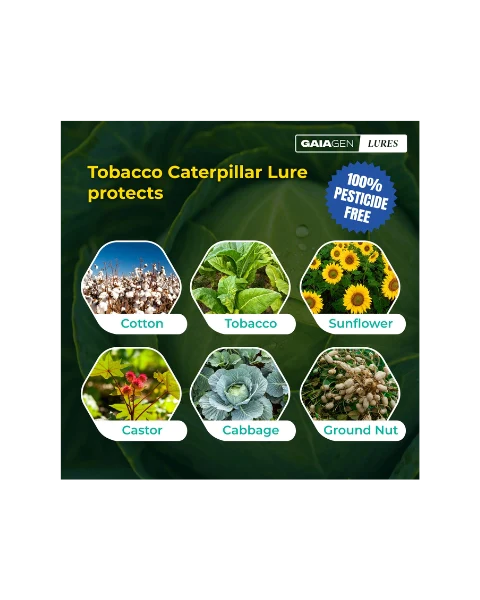 GAIAGEN PHEROMONE LURE FOR TOBACCO CATERPILLAR (Spodoptera litura) product  Image 3