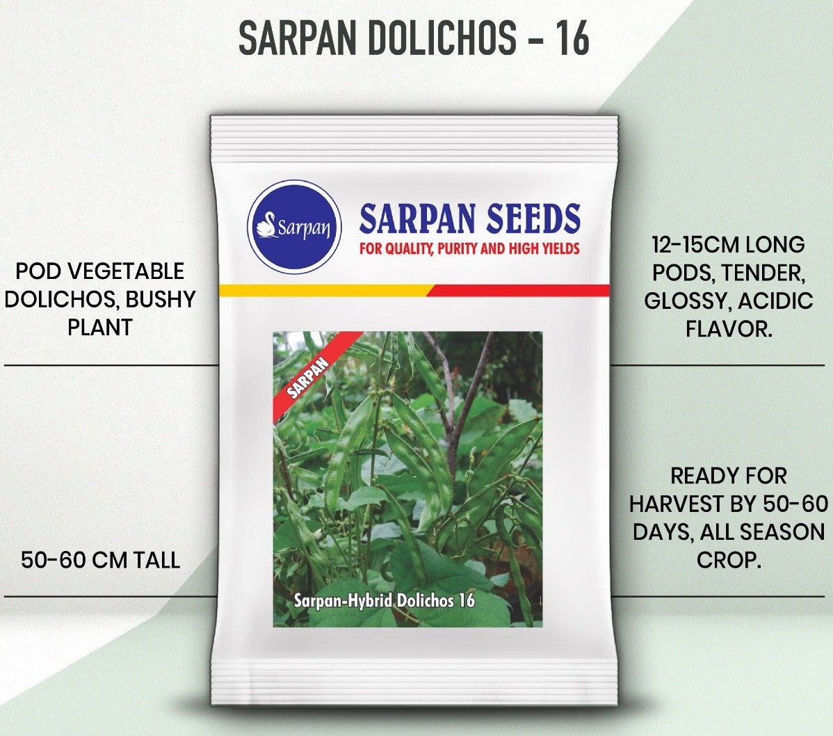 SARPAN-16 DOLICHOS SEEDS product  Image 2