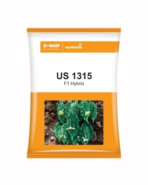 US 1315 BITTER GOURD SEEDS product  Image 1