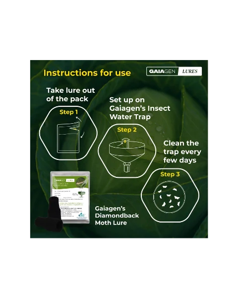 GAIAGEN PHEROMONE LURE FOR DIAMONDBACK MOTH (Plutella xylostella) product  Image 6