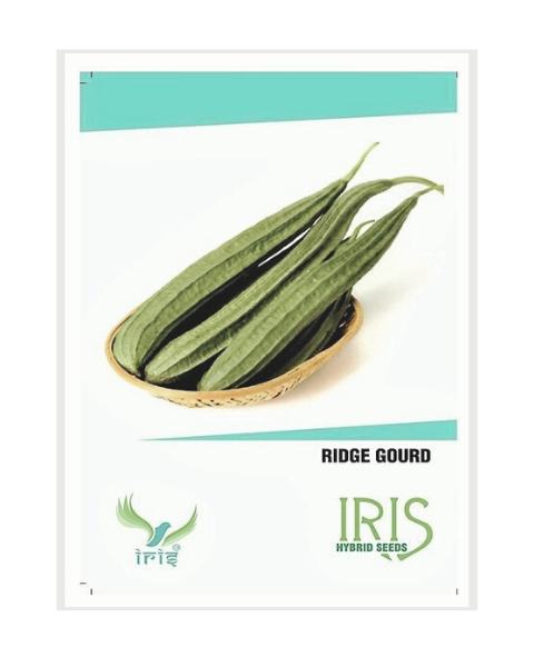 IRIS HYBRID VEGETABLE SEEDS RIDGE GOURD product  Image 1