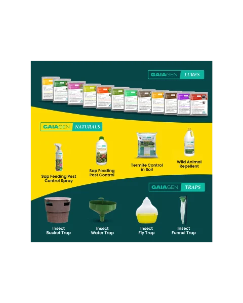 GAIAGEN PHEROMONE LURE FOR BRINJAL FRUIT & SHOOT BORER (Leucinodes orbonalis) product  Image 11