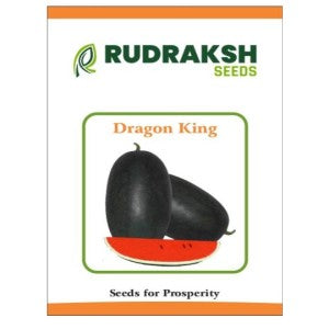 RUDRAKSH DRAGONE KING WATERMELON (OBLONG, CRIMSON RED) SEEDS product  Image 2