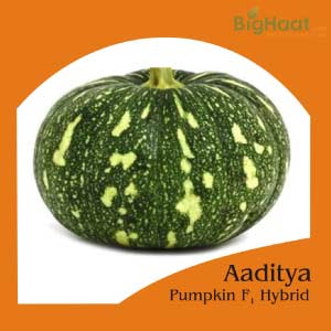 AADITYA PUMPKIN SEEDS... product  Image 1