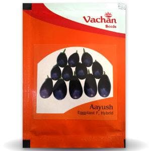 AAYUSH BRINJAL - SEEDS product  Image 1