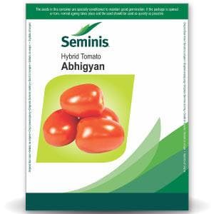 ABHIGYAN TOMATO (अभिज्ञान टमाटर ) - SEEDS product  Image 1