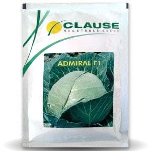 ADMIRAL CABBAGE - SEEDS product  Image 1