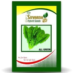 ALL GREEN PALAK product  Image 1