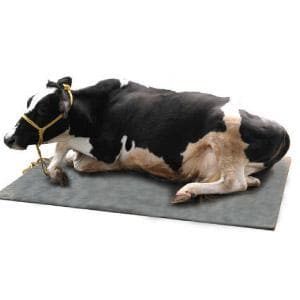 ECOWEALTH RUBBER MAT FOR CATTLES product  Image 1