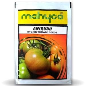 ANIRUDH TOMATO (अनिरुद्ध टमाटर) product  Image 1