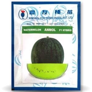 ANMOL YELLOW WATERMELON ( अनमोल पीला तरबूज ) product  Image 1