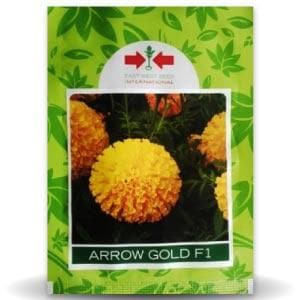 ARROW GOLD MARIGOLD product  Image 1