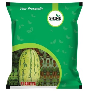 SHINE WATER MELON ADITYA F1 HYBRID SEEDS product  Image 1