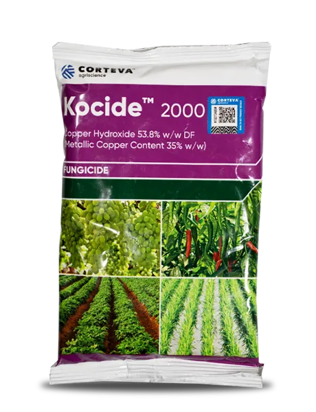 KOCIDE FUNGICIDE product  Image 1