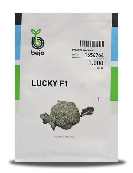 LUCKY BROCCOLI SEEDS product  Image 1