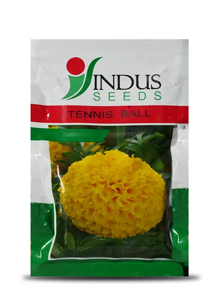 TENNIS BALL F1 HYBRID MARIGOLD SEEDS product  Image 1