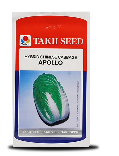 APOLLO CHINESE CABBAGE F1 product  Image