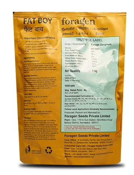 FAT BOY (MULTI-CUT FORAGE SORGHUM) product  Image