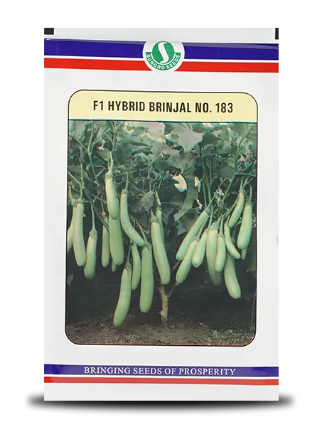 BRINJAL No. 183 SEEDS product  Image 1