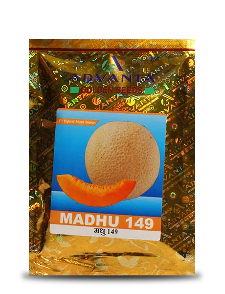 MADHU 149 MUSK MELON product  Image